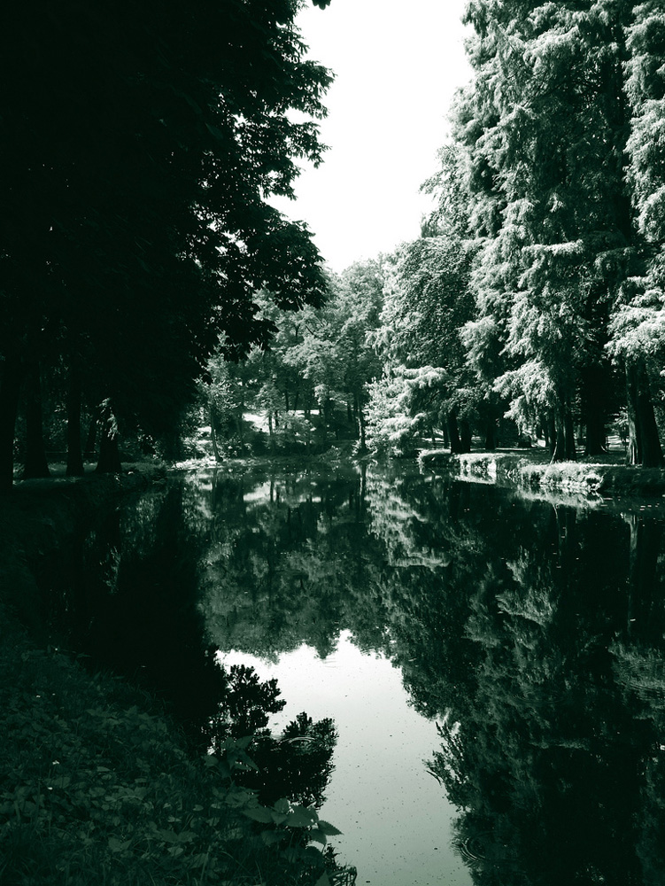 4862850381_d08f1301ac_b