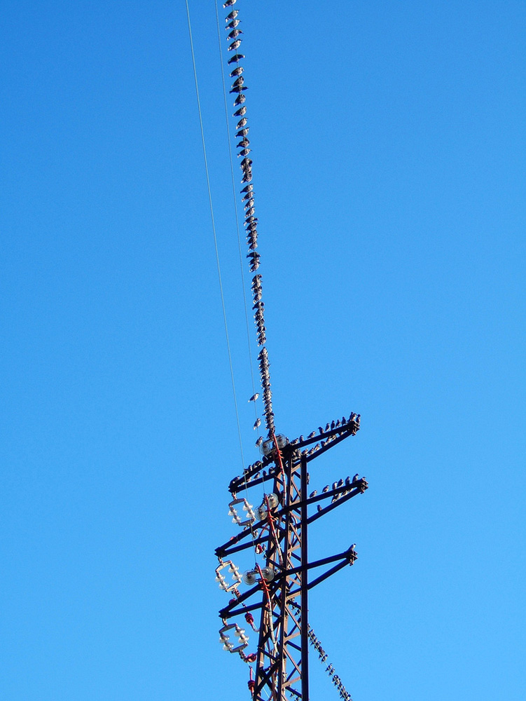 5132006257_620538d73b_b