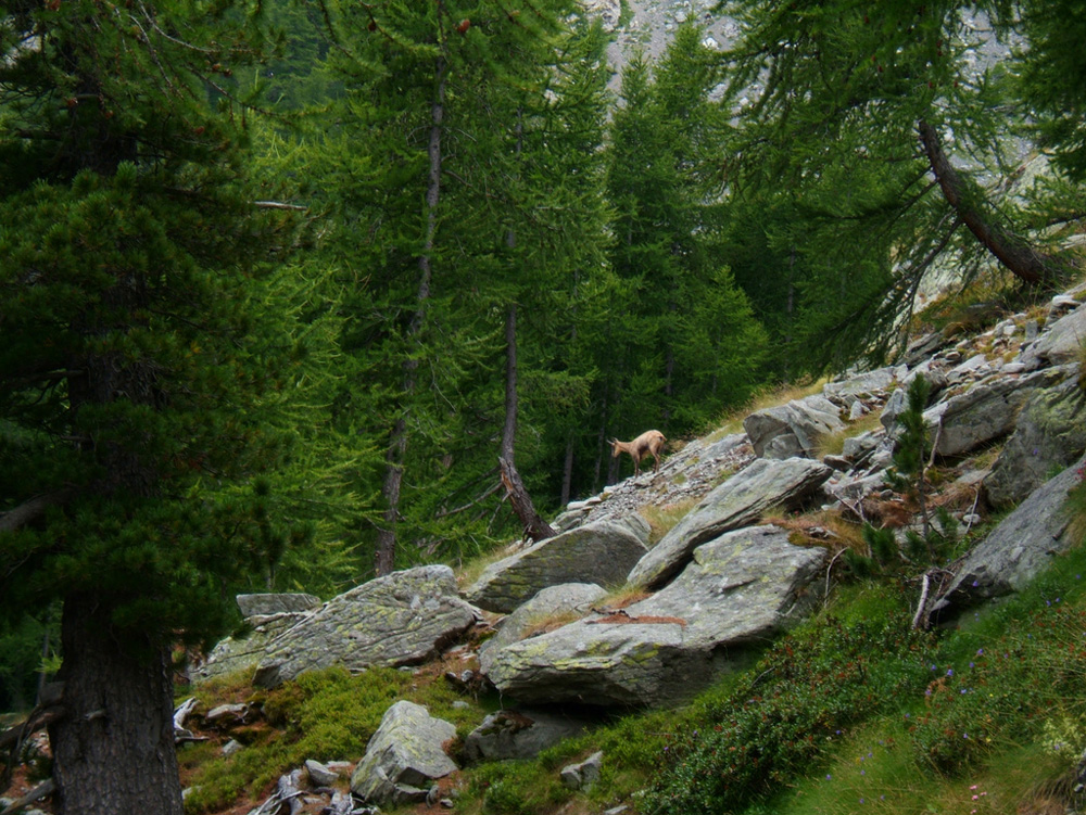 5988487121_3e9a073b02_b