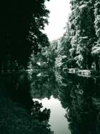 4862850381_d08f1301ac_b