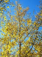 5132016767_473bd5f019_b