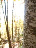 5132020995_d5017f1507_b