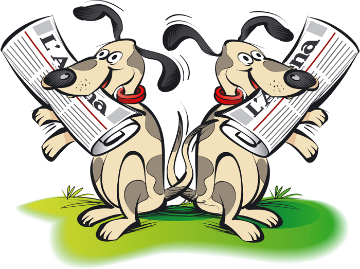 Dog-1b