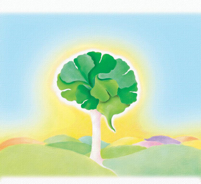 Gingko