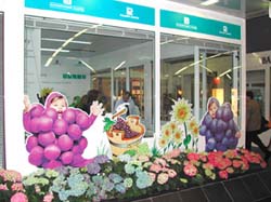 DSCN0535