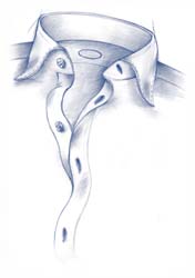 Type-collocamicia-2C
